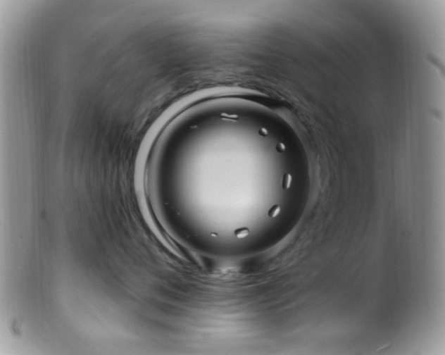 X0000099500720200805151430