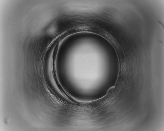 X0000099500722200805151430