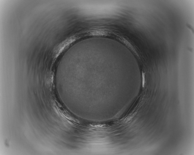 X0000099500723200805151430