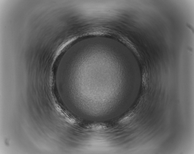 X0000099500724200805151430