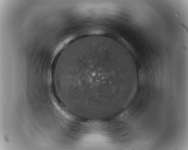X0000099500726200805151430