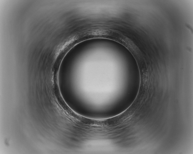 X0000099500727200805151430