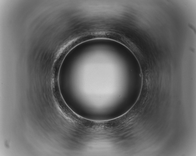 X0000099500728200805151430