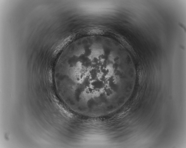 X0000099500729200805151430