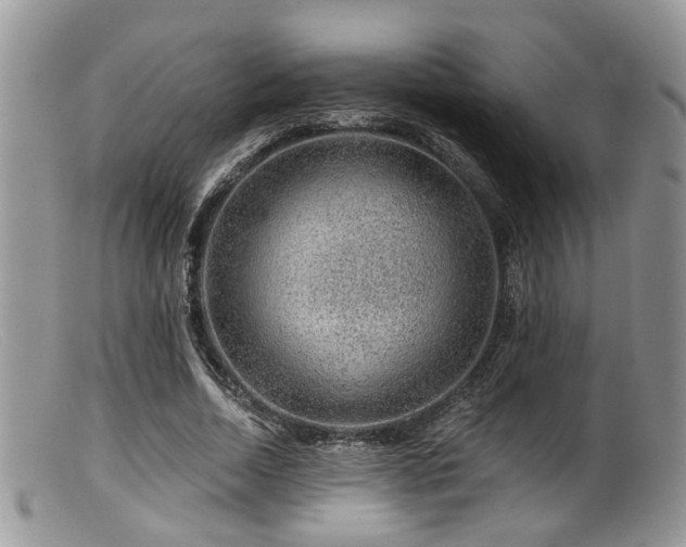 X0000099500730200805151430