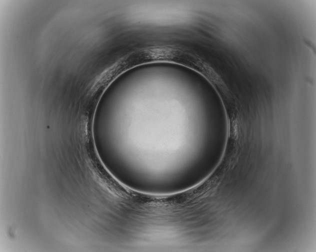 X0000099500733200805151430