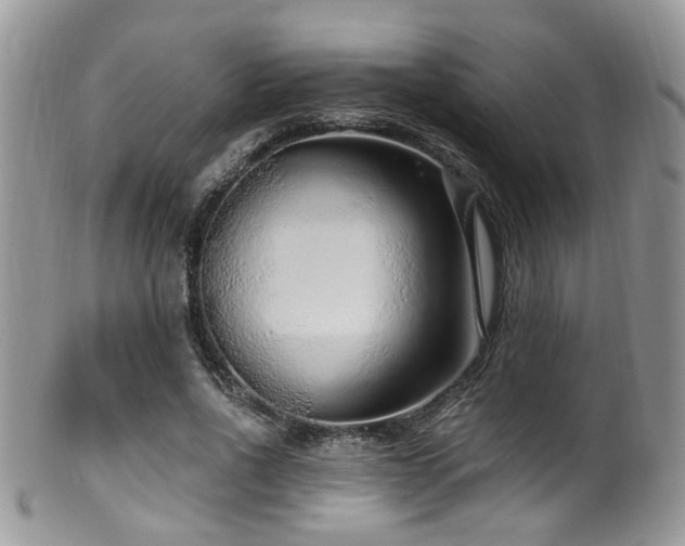 X0000099500734200805151430
