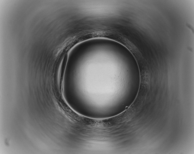 X0000099500738200805151430