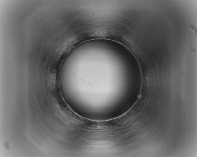 X0000099500739200805151430