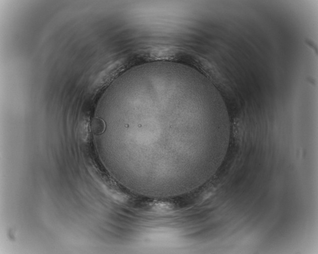 X0000099500741200805151430