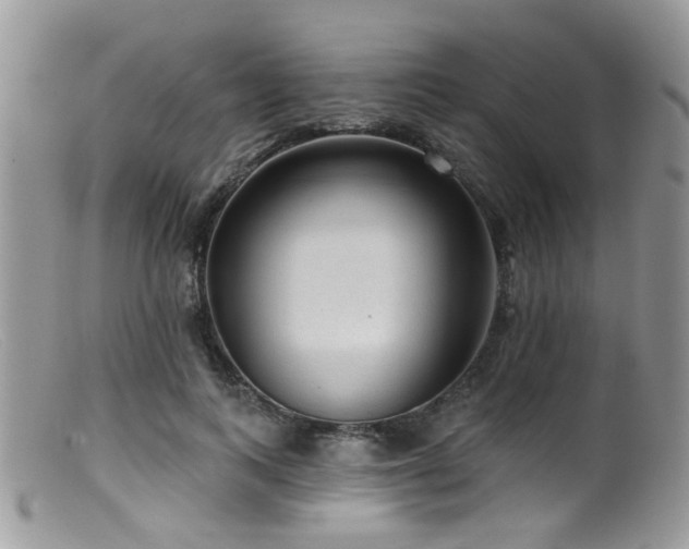 X0000099500743200805151430