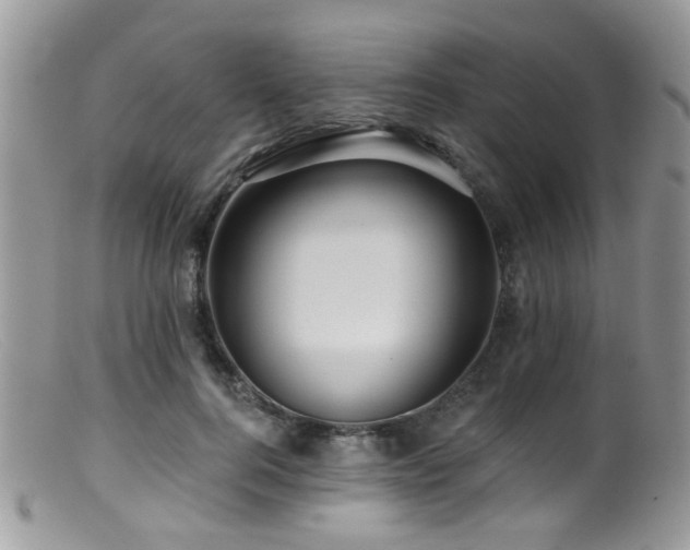 X0000099500744200805151430