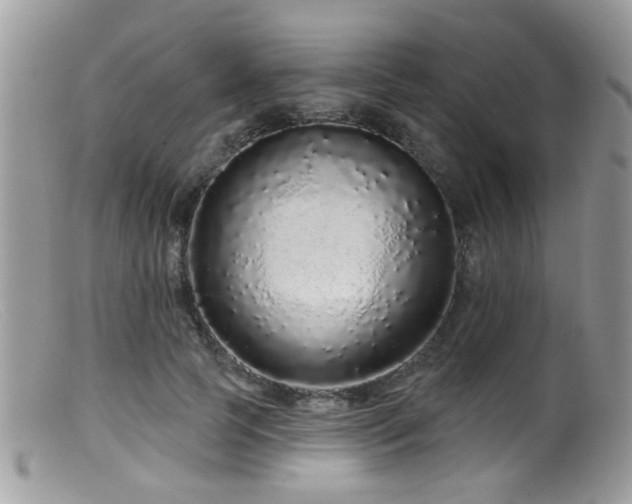 X0000099500745200805151430
