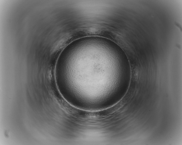 X0000099500746200805151430