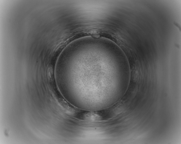 X0000099500747200805151430