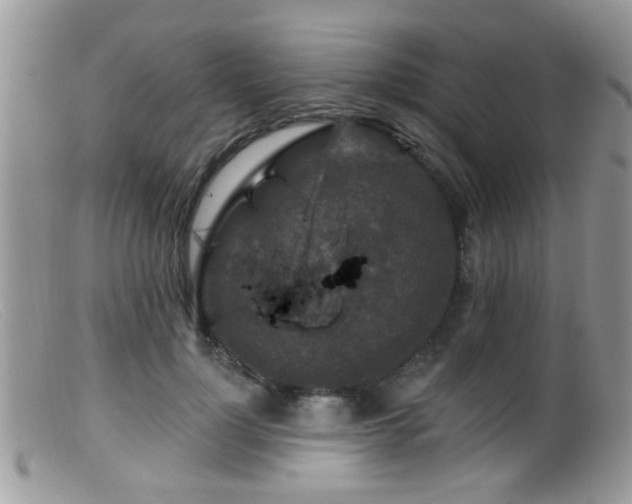 X0000099500748200805151430