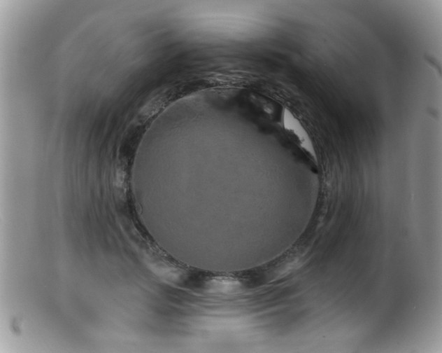 X0000099500749200805151430