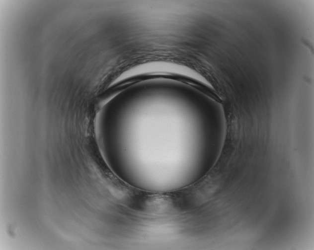 X0000099500750200805151430