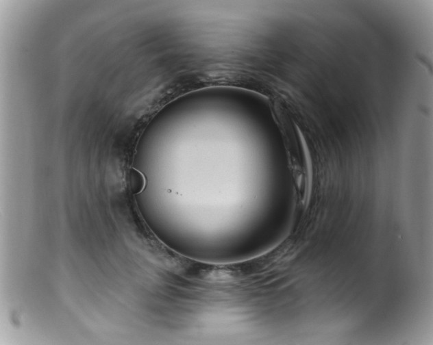 X0000099500751200805151430