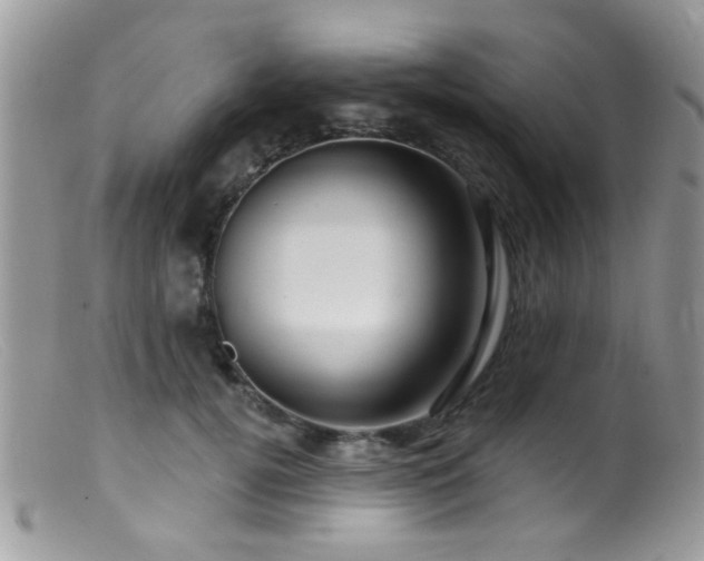 X0000099500752200805151430