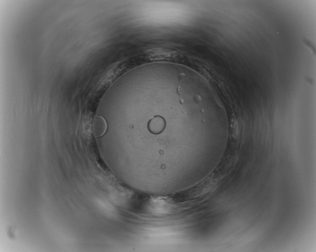 X0000099500753200805151430