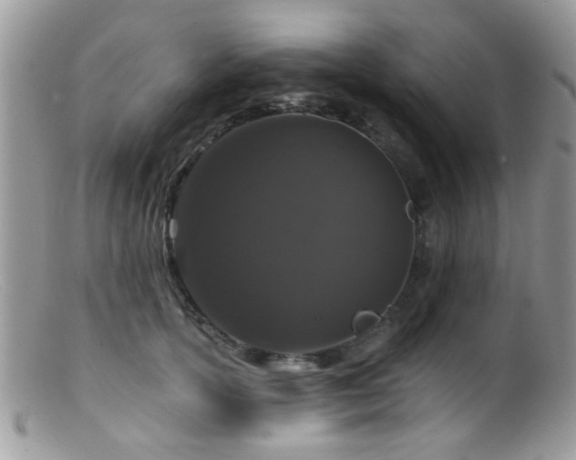 X0000099500754200805151430