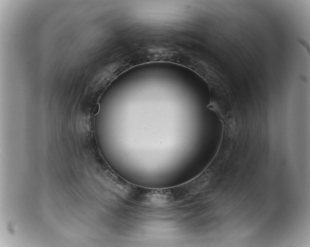 X0000099500756200805151430