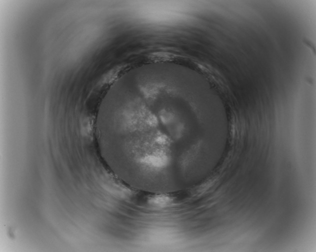 X0000099500759200805151430