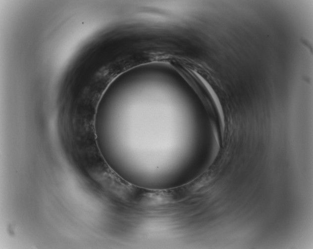 X0000099500763200805151430