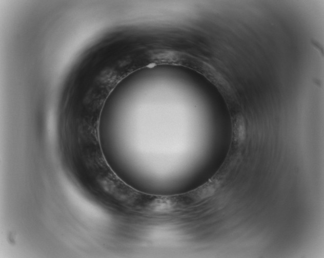 X0000099500764200805151430