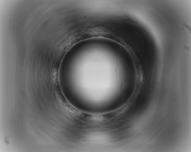 X0000099500767200805151430