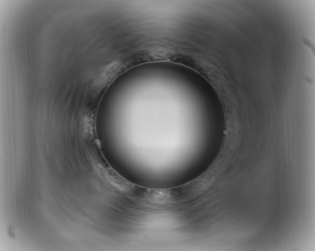 X0000099500768200805151430