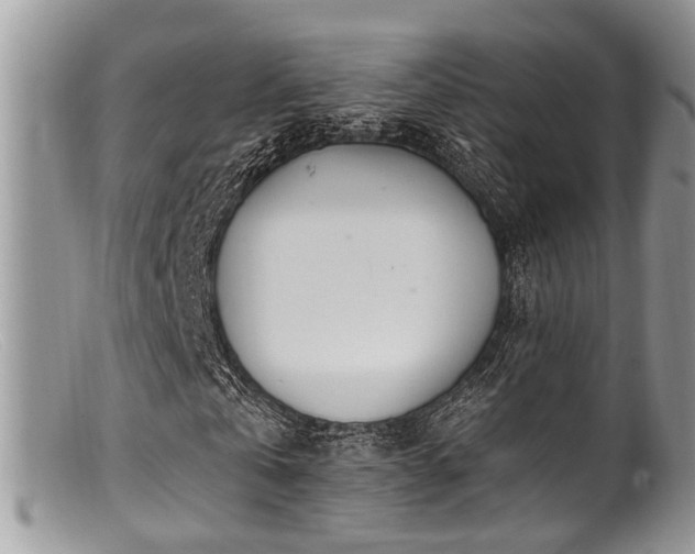 X0000099500769200805151430