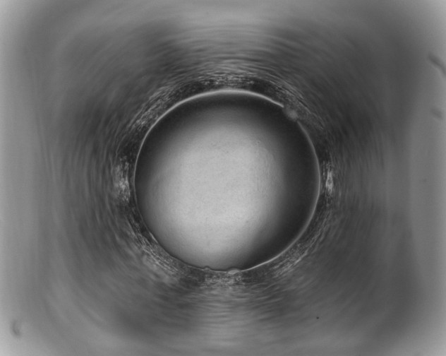 X0000099500771200805151430