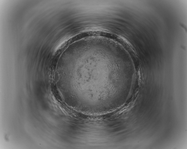 X0000099500775200805151430