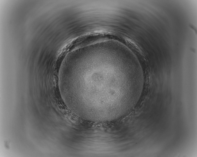 X0000099500776200805151430
