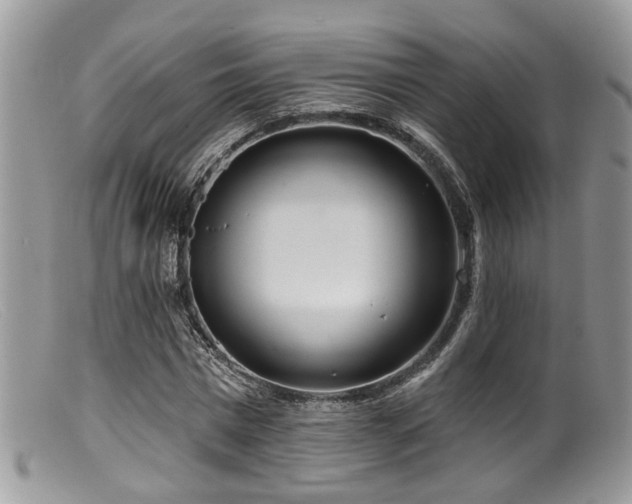 X0000099500777200805151430