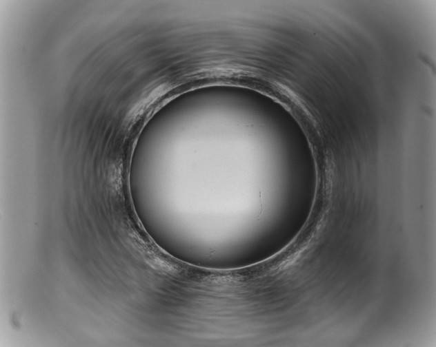 X0000099500778200805151430