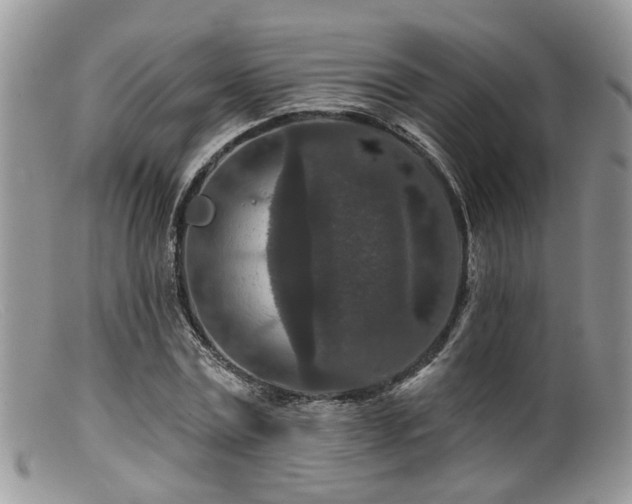 X0000099500779200805151430
