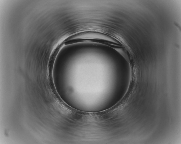 X0000099500780200805151430