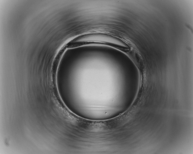 X0000099500784200805151430
