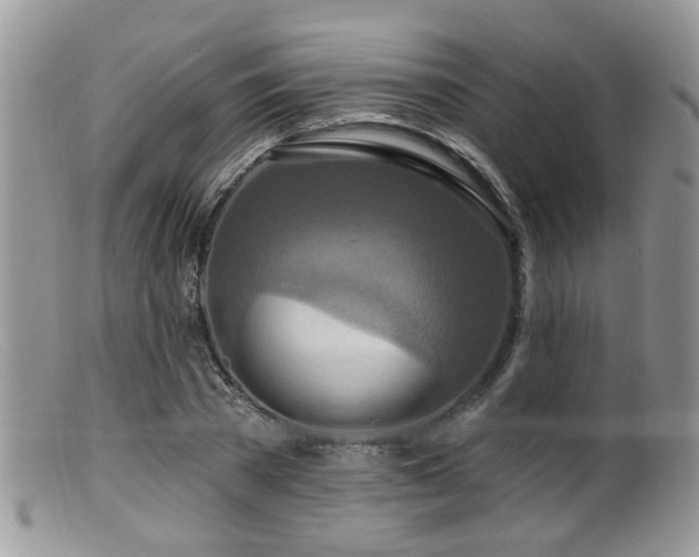 X0000099500785200805151430
