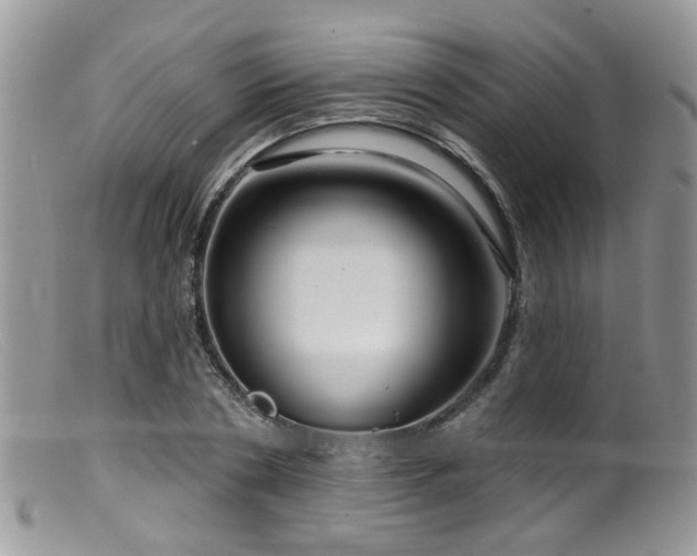 X0000099500786200805151430