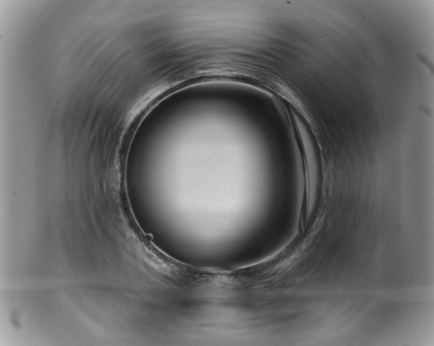 X0000099500787200805151430