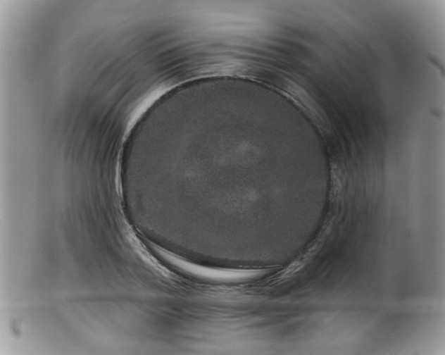 X0000099500788200805151429