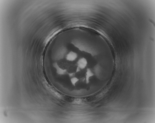 X0000099500790200805151429