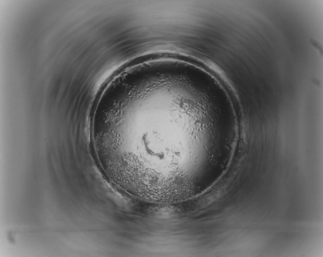 X0000099500791200805151429