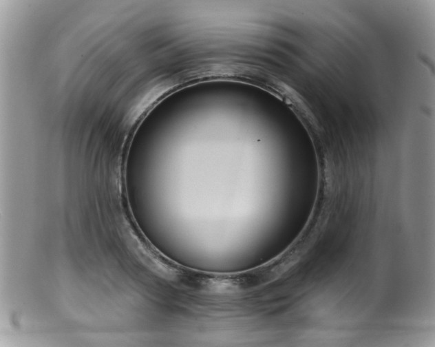 X0000099500794200805151429