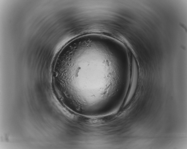 X0000099500795200805151429