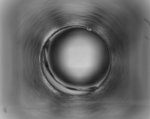 X0000099500796200805151429